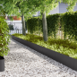 Preview: Raseneinfassung 50 pcs 100 x 0,05 x 30 cm Kalt gewalzter Stahl
