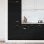 Preview: Schwarzer Eichen-Ziehenunterbau-Schrank - 30x46x81.5 cm