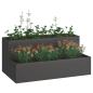 Preview: Gartenpflanzer 2-stufig 100x60x45 cm schwarz aus Stahl