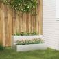 Preview: ARDEBO.de - Gartenpflanzer 2-Tier 100x60x45 cm Edelstahl