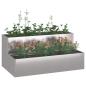 Preview: Gartenpflanzer 2-Tier 100x60x45 cm Edelstahl