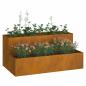 Preview: Gartenpflanzer 2-stufig 100x60x45 cm Wetterstahl