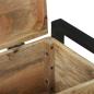 Preview: Aufbewahrungstruhen 60x30x30cm aus massivem Mango-Holz und Metall