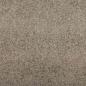 Preview: rechteckige Türmatte Beige 120x400 cm