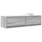 Preview: TV-Schrank Grau Sonoma 100x31x25,5 cm Holzwerkstoff