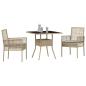 Preview: Essmöbel Set 3-teilig Beige Rattan und Polyester Langlebig