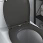 Preview: Schnellverschluss-Toilettensitz mit sanfter Schließfunktion Duroplast Anthrazit