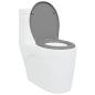 Preview: Schnellverschluss-Toilettensitz mit sanftem Schließen Duroplast Grau