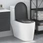 Preview: ARDEBO.de - Schnellverschluss Toilettensitz mit sanfter Schließung Duroplast Anthrazit