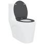 Preview: Quick Release Toilettensitz mit sanftem Schließen Duroplast Anthrazit