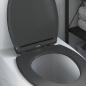 Preview: Quick Release Toilettensitz mit sanftem Schließen Duroplast Anthrazit