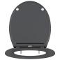 Preview: Quick Release Toilettensitz mit sanftem Schließen Duroplast Anthrazit