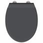 Preview: Quick Release Toilettensitz mit sanftem Schließen Duroplast Anthrazit