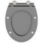 Preview: Toilettensitz Grau 45,5 x 37,5 x 3,8 cm Duroplast