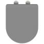 Preview: Toilettensitz mit Schnellverschluss und sanftem Schließen aus Duroplast in Grau