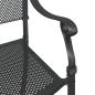 Preview: Gartenstühle 2er Set Schwarz Gusseisen