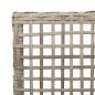 Preview: Gartenstühle 2 Stück mit Kissen Hellgrau Poly Rattan