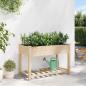 Preview: Gartenpflanzer mit Regal 115x59x76 cm aus massivem Kiefernholz
