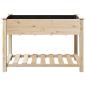 Preview: Gartenpflanzer mit Regal 115x59x76 cm aus massivem Kiefernholz