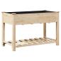 Preview: Gartenpflanzer mit Regal 115x59x76 cm aus massivem Kiefernholz