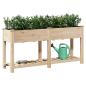 Preview: Gartenpflanzer mit Regal 161x43x76 cm aus massivem Kiefernholz