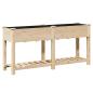 Preview: Gartenpflanzer mit Regal 161x43x76 cm aus massivem Kiefernholz