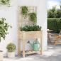 Preview: Gartenpflanzer mit Spalier & Regal 71x37x152 cm aus massivem Holz Kiefer