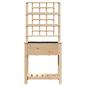 Preview: Gartenpflanzer mit Spalier & Regal 71x37x152 cm aus massivem Holz Kiefer