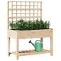 Preview: Gartenpflanzer mit Rankgitter und Regal 115x59x152 cm Massivholz Kiefer