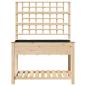 Preview: Gartenpflanzer mit Rankgitter und Regal 115x59x152 cm Massivholz Kiefer
