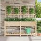 Preview: ARDEBO.de - Gartenpflanzer mit Spalier und Regal 161x43x152 cm aus massivem Kiefernholz