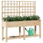 Preview: Gartenpflanzer mit Spalier und Regal 161x43x152 cm aus massivem Kiefernholz
