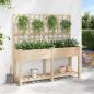 Preview: Gartenpflanzer mit Spalier und Regal 161x43x152 cm aus massivem Kiefernholz