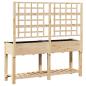 Preview: Gartenpflanzer mit Spalier und Regal 161x43x152 cm aus massivem Kiefernholz