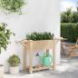 Preview: Gartenpflanzer mit Regalen 111x37x76 cm aus massivem Kiefernholz