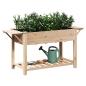 Preview: Gartenpflanzer mit Regalen 155x59x76 cm Aus massivem Kiefernholz