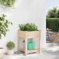 Preview: Gartenpflanzer mit Regal 60x60x76 cm aus massivem Kiefernholz