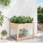 Preview: Gartenpflanzer mit Regal 90x90x76 cm aus massivem Kiefernholz