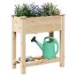 Preview: Gartenpflanzer mit Gittern 71x37x76 cm aus massivem Kiefernholz