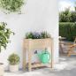 Preview: Gartenpflanzer mit Gittern 71x37x76 cm aus massivem Kiefernholz