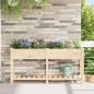 Preview: ARDEBO.de - Gartenpflanzer mit Gittern 161x43x76 cm aus massivem Tannenholz