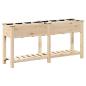 Preview: Gartenpflanzer mit Gittern 161x43x76 cm aus massivem Tannenholz
