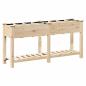Preview: Gartenpflanzer mit Gittern 161x43x76 cm aus massivem Tannenholz