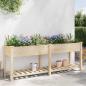 Preview: Gartenpflanzer mit Rastern 203x53x76 cm aus massivem Kiefernholz