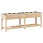 Preview: Gartenpflanzer mit Rastern 203x53x76 cm aus massivem Kiefernholz