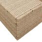 Preview: 2-Sitzer Gartensofa mit Kissen Beige Poly Rattan