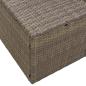 Preview: 2-Sitzer Gartensofa mit Stauraum und Kissen Grau Poly Rattan