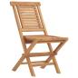 Preview: Klappstühle, 2 Stück, 47 x 63 x 90 cm, Massivholz Teak