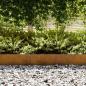 Preview: Rasenbegrenzungen 20 Stk 100x0.5x20 cm Verwitterter Stahl