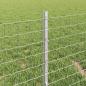 Preview: Euro-Zaun mit Pfosten 50 x 0,4 m Verzinkter Stahl Silber Netz